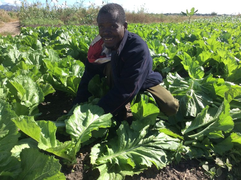 Banner for Agriculture information