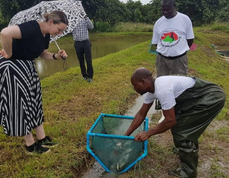 Aquaculture Project Closed