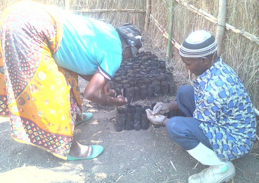 To curb climate change effects in the Irrigation schemes farmers are establishing tree nurseries for the scheme