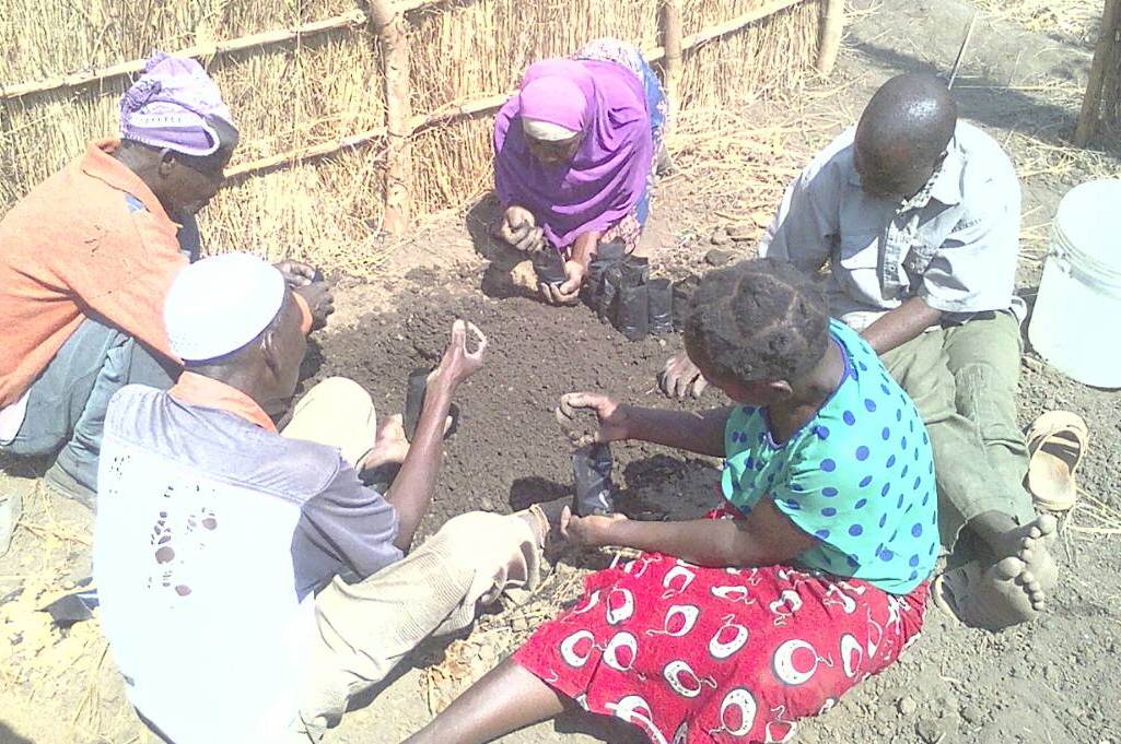 To curb climate change effects in the Irrigation schemes farmers are establishing tree nurseries for the scheme